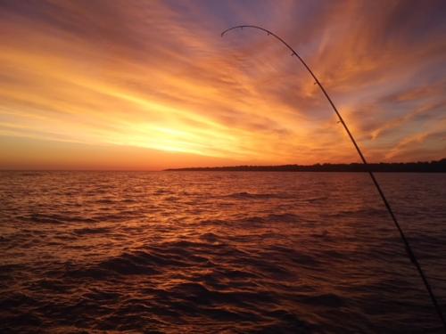 Fishfull Fishing Charters - Lake Erie Fishing.